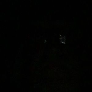 Meet your Posher, Terry